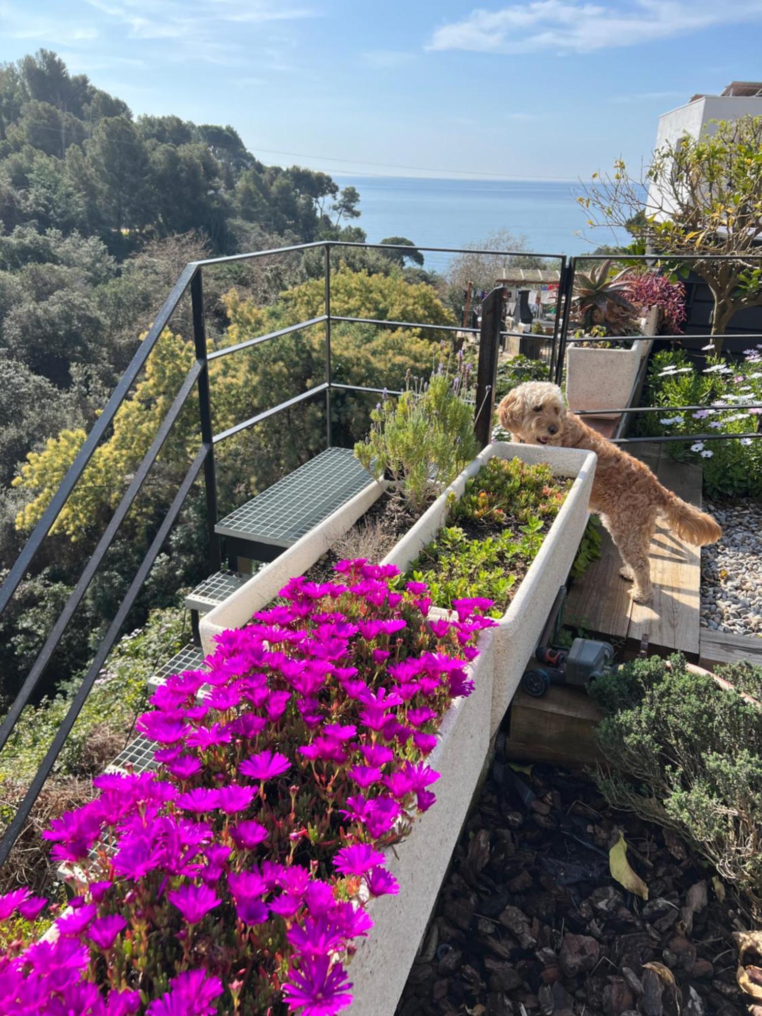 Apartament Casa Karian Tossa de Mar Zewnętrze zdjęcie